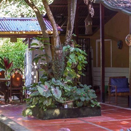 Mi Refugio Tayrona Hotel ซันตามาร์ตา ภายนอก รูปภาพ