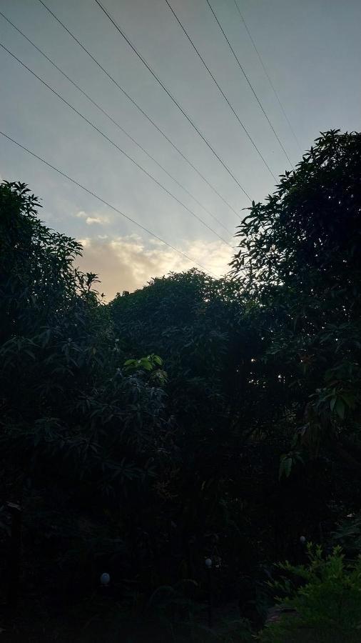 Mi Refugio Tayrona Hotel ซันตามาร์ตา ภายนอก รูปภาพ