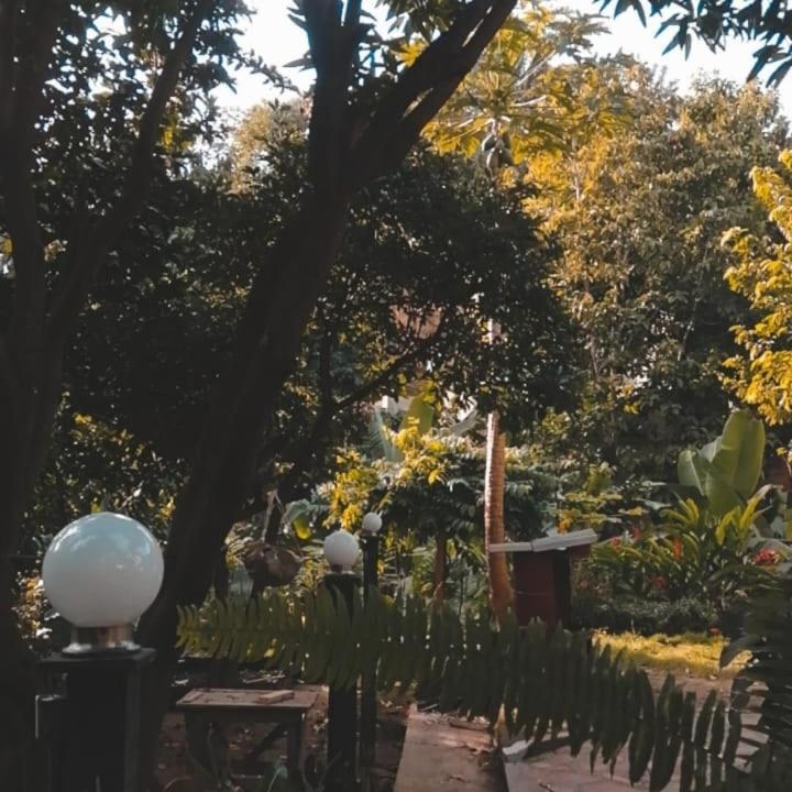 Mi Refugio Tayrona Hotel ซันตามาร์ตา ภายนอก รูปภาพ