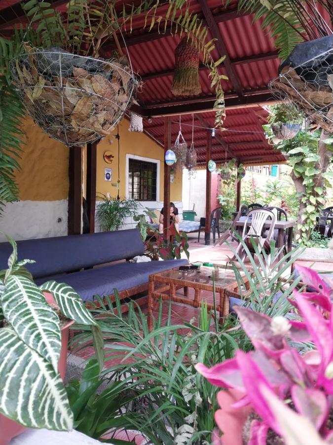 Mi Refugio Tayrona Hotel ซันตามาร์ตา ภายนอก รูปภาพ